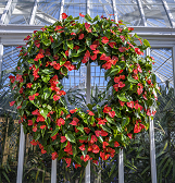 Phipps Holiday Magic Phipps Holiday Magic