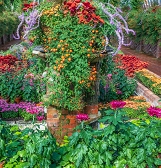 Fall Flower Show: Japanese Inspirations Fall Flower Show: Japanese Inspirations