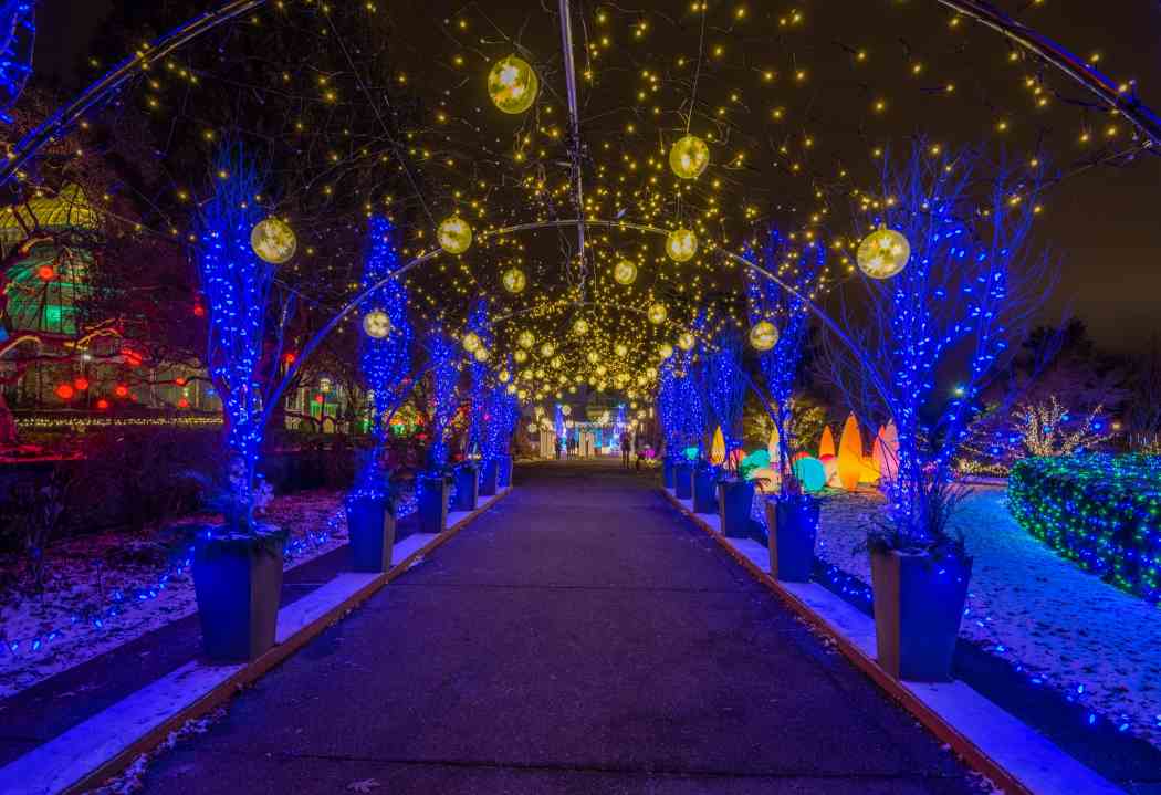 Beautiful garden lights Beautiful garden lights