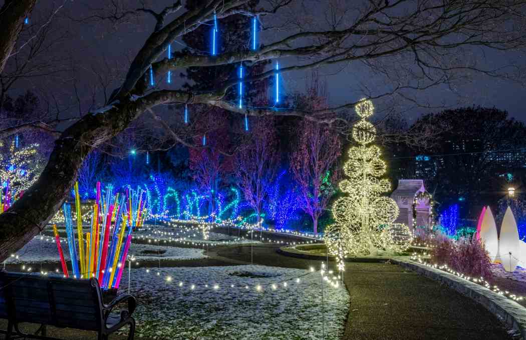 Phipps Holiday Lights 2024 Bride Clarita