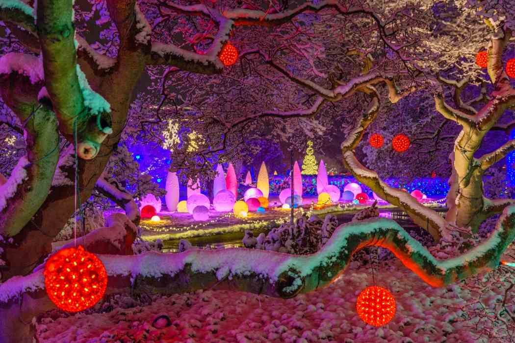 LAST CHANCE — Holiday Magic: Let It Glow! | Phipps Conservatory and