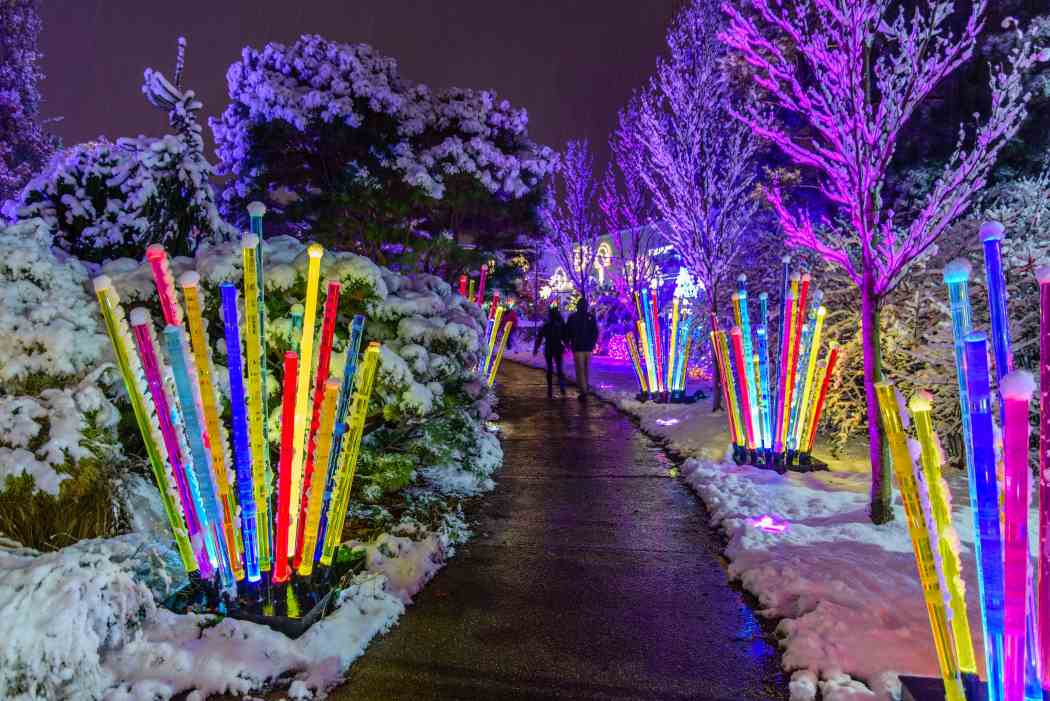 LAST CHANCE — Holiday Magic Let It Glow! Phipps Conservatory and Botanical Gardens