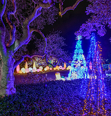 Holiday Magic! Winter Flower Show and Light Garden Holiday Magic! Winter Flower Show and Light Garden