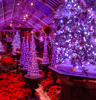 Holiday Magic! Winter Flower Show and Light Garden | Phipps ...