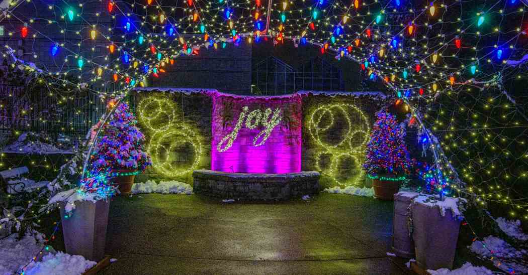 Winter Flower Show 2025: Phipps Holiday Magic