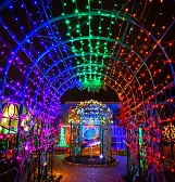 Festive Nights of Winter Lights Festive Nights of Winter Lights