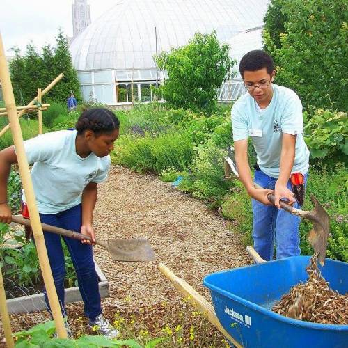 In with the Interns at Phipps