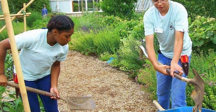 In with the Interns at Phipps