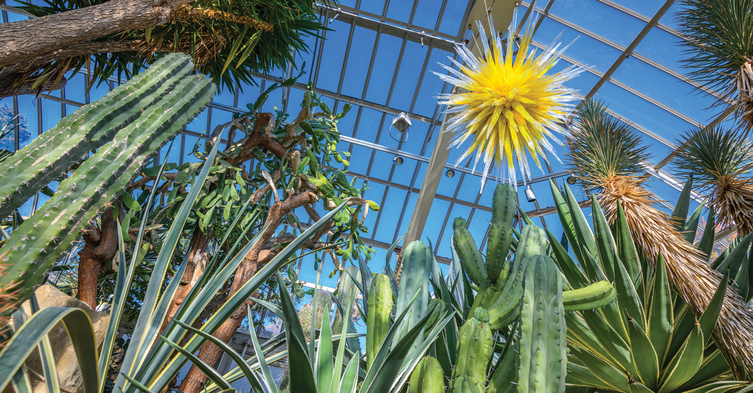 2024-2025 Fairchild Challenge Awards Announced! | Phipps