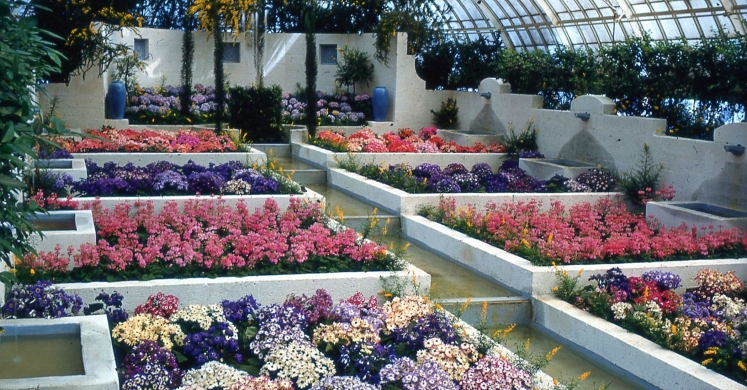This Week at Phipps: March 6 – 12 This Week at Phipps: March 6 – 12