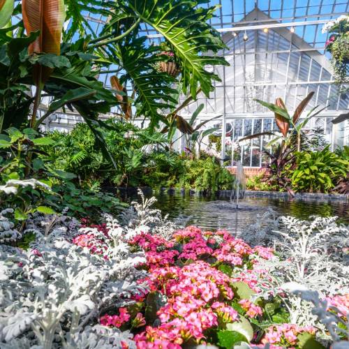 This Week at Phipps: Feb. 28 – March 6