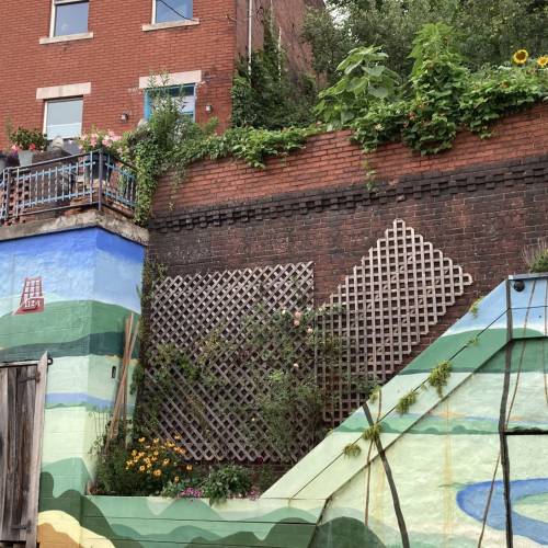 Small Gardens, Big Impact: Urban Abundance