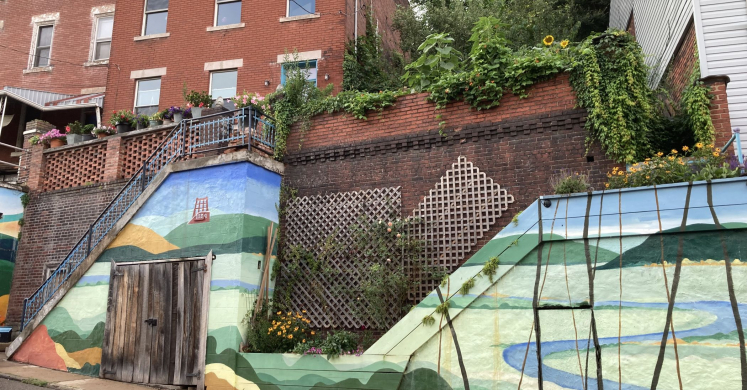 Small Gardens, Big Impact: Urban Abundance