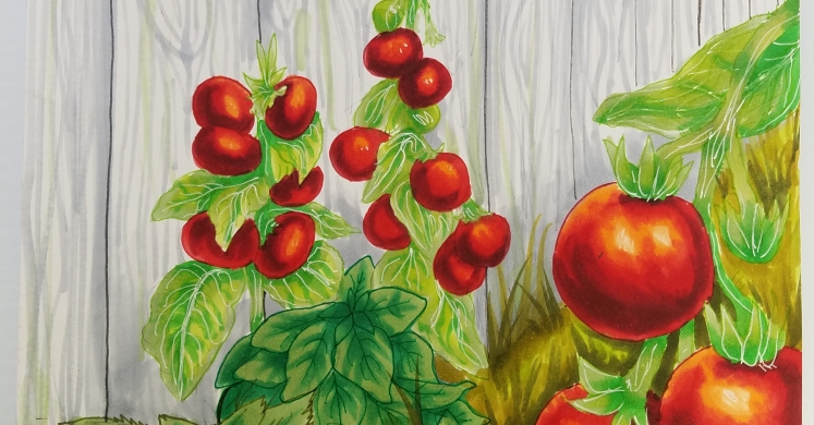 Fairchild Challenge at Phipps: Video Challenge Winners Announced! Fairchild Challenge at Phipps: Video Challenge Winners Announced!