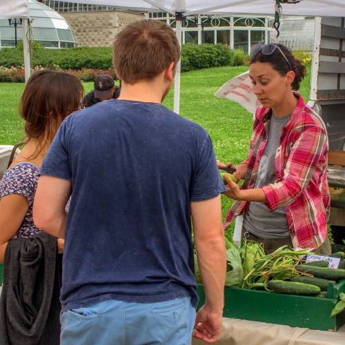 Featured Farmer: Brenckle’s Organic Farm and Greenhouse