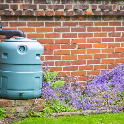 Rainwater Harvesting