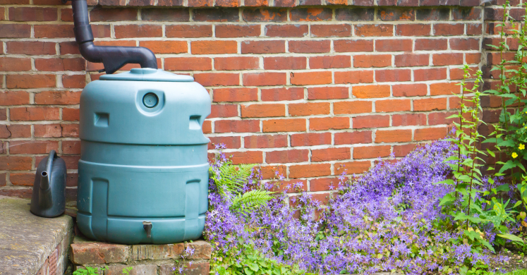 Rainwater Harvesting