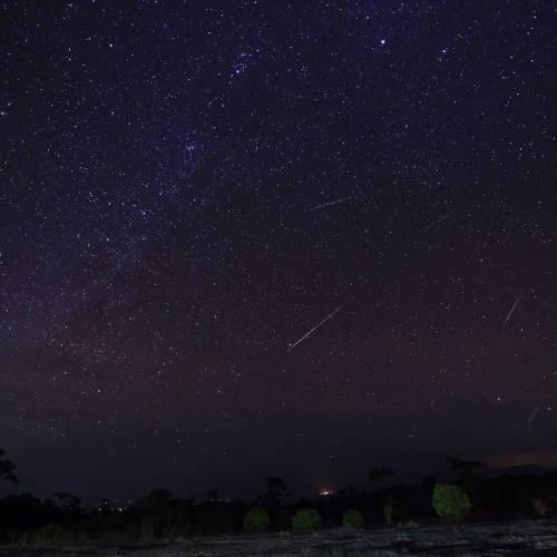 #bioPGH Blog: Geminid Meteor Shower