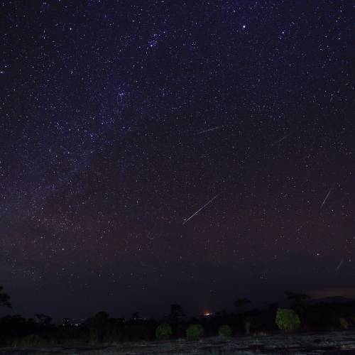 #bioPGH Blog: Geminid Meteor Shower