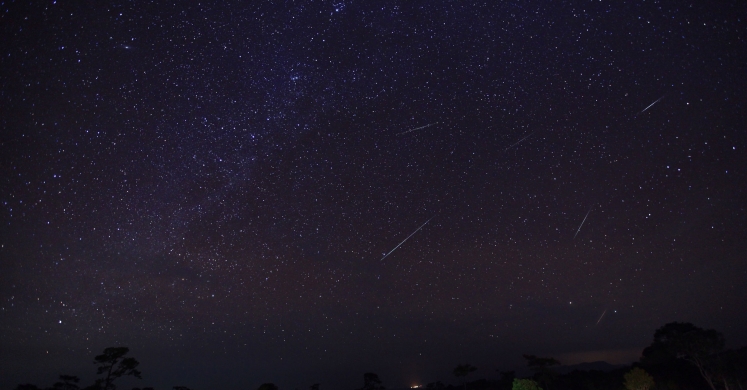#bioPGH Blog: Geminid Meteor Shower