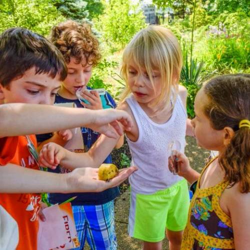 Summer Camp Recap: Bugs in the Burgh!