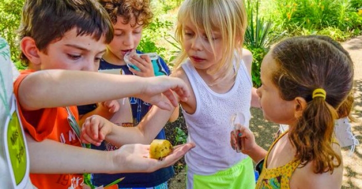 Summer Camp Recap: Bugs in the Burgh! Summer Camp Recap: Bugs in the Burgh!