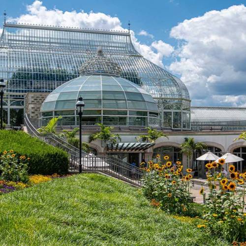Let’s Stay Connected: Flower Shows, Nature Blogs, Poppies and More