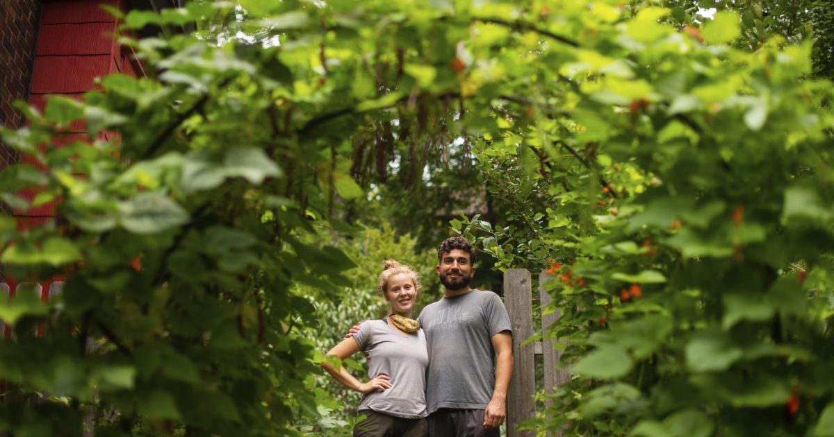 Phipps Sustainable Garden Award Winners for 2020 | Phipps ...