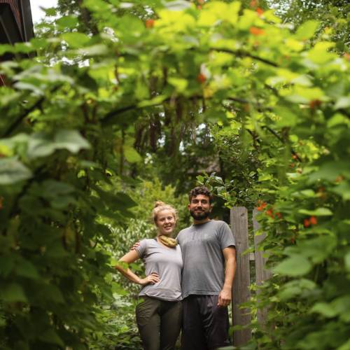 Phipps Sustainable Garden Award Winners for 2020