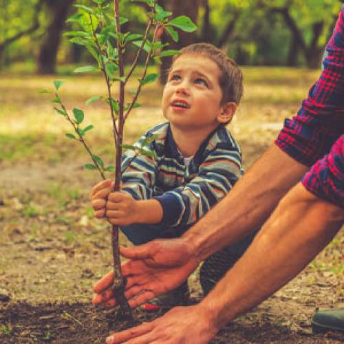 Healthy Food Choices, Gardening and Yoga, Enhance Early Childhood and Help Children Grow!