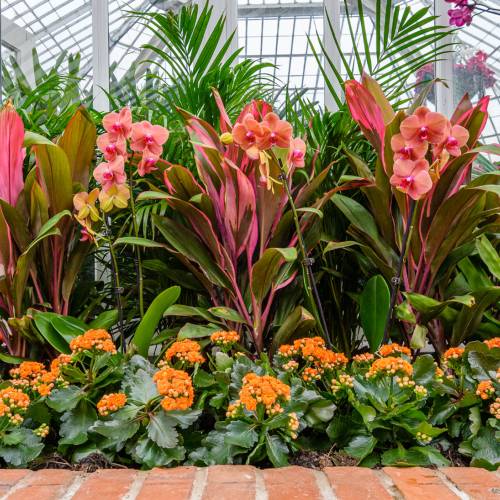 This Week at Phipps: March 14 – 20