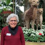 Volunteer Spotlight: Helen Orringer
