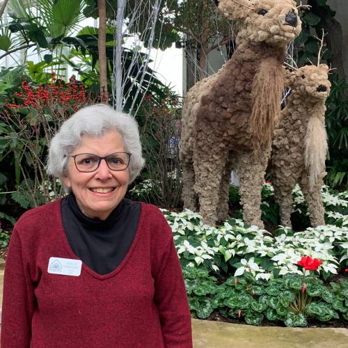 Volunteer Spotlight: Helen Orringer