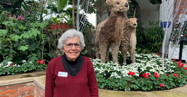 Volunteer Spotlight: Helen Orringer Volunteer Spotlight: Helen Orringer