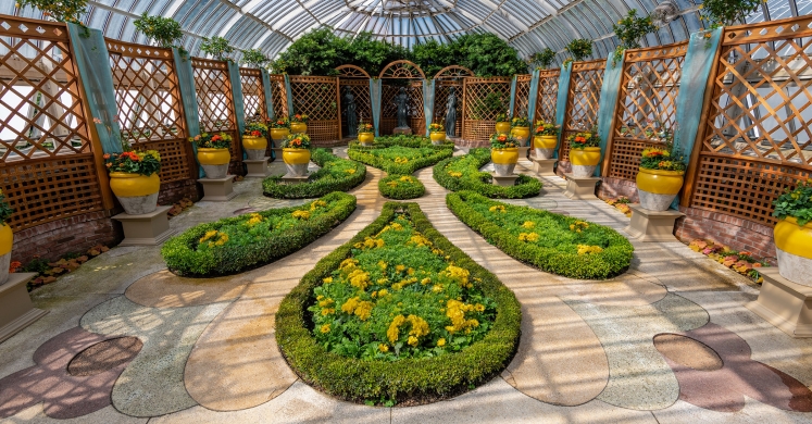 This Week at Phipps: June 17 – 23 This Week at Phipps: June 17 – 23
