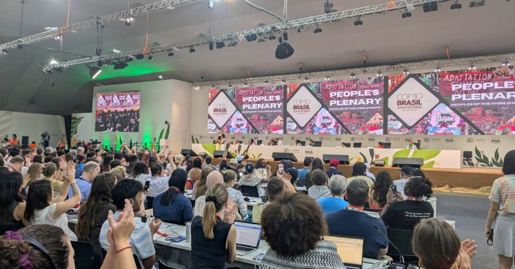 A Day in the Life of a COP30 Attendee