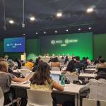 A Glimpse Inside the ACE Negotiations at COP28