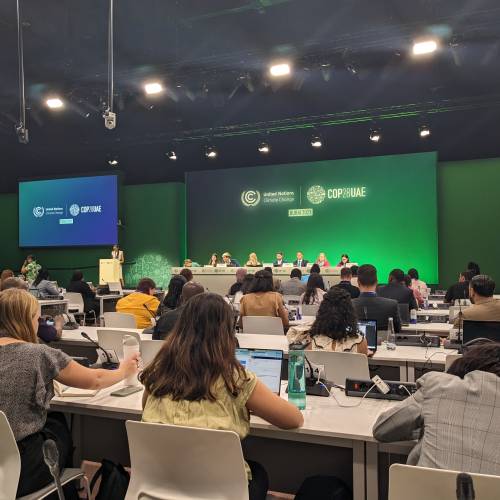 A Glimpse Inside the ACE Negotiations at COP28