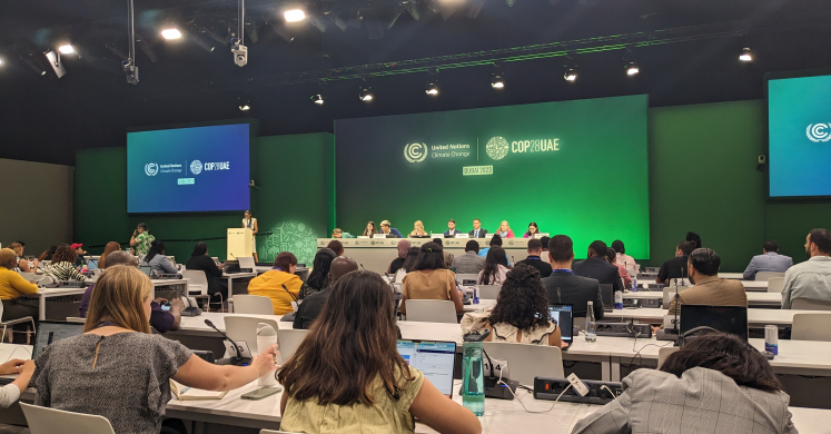 A Glimpse Inside the ACE Negotiations at COP28