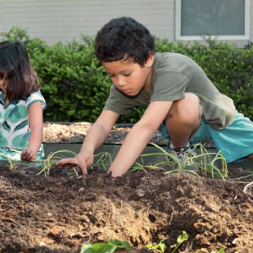 Let’s Move Pittsburgh and Carnegie Library of Pittsburgh-Hazelwood Put Fun Into Learning!