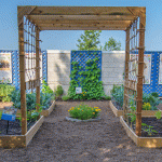 Seed Savers: The Story Behind the Seed