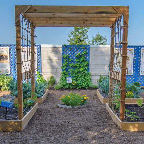 Seed Savers: The Story Behind the Seed