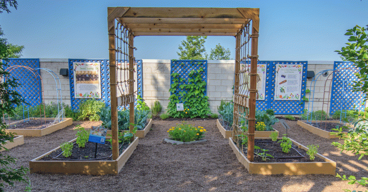 Seed Savers: The Story Behind the Seed