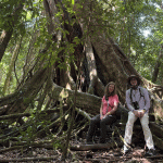 Up Next: Tropical Forest Australia