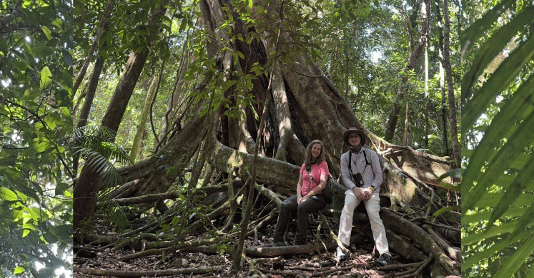 Up Next: Tropical Forest Australia