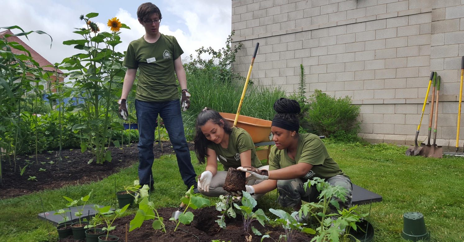 Phipps conservatory horticulture internship