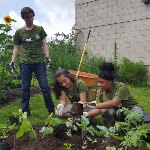 Now Accepting Applications: Phipps’ 2019 Summer Interns!