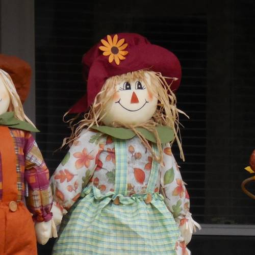 #bioPGH Blog: Scarecrows and Wildlife