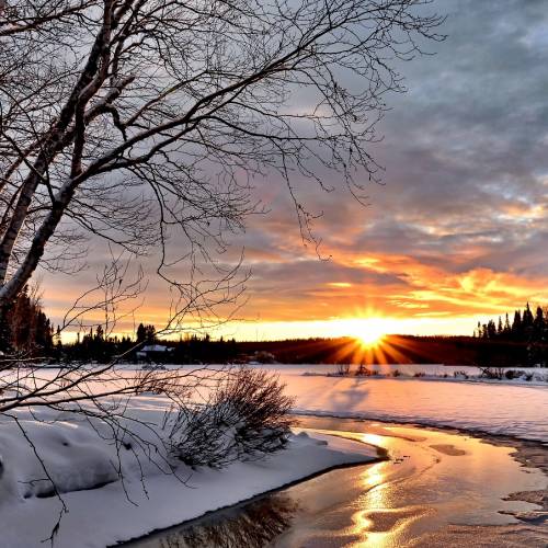 #bioPGH Blog: Of Solstice and Celebrations