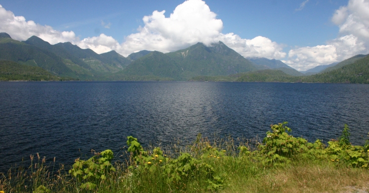 #bioPGH Blog: Lake Turnover